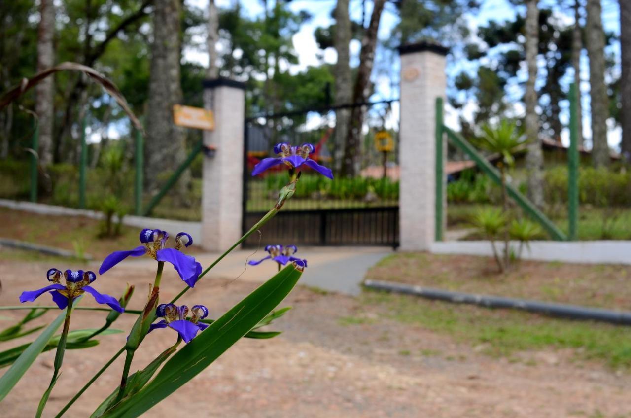 Отель Pousada Paraiso Das Araucarias Монти-Верди Экстерьер фото